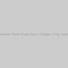 Image of Immunization Grade Sheep Type II Collagen, 5 mg, lyophilized